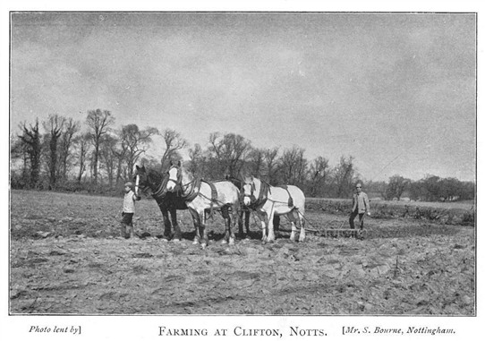 Photo: Illustrative image for the 'Farming at Clifton, 1900' page