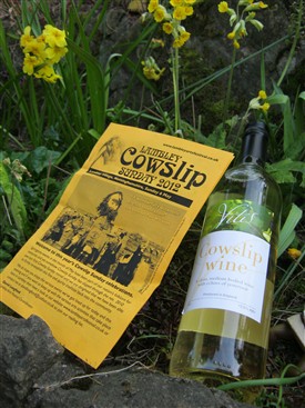 Photo: Illustrative image for the 'A unique May custom...Cowslip Sunday, Lambley' page