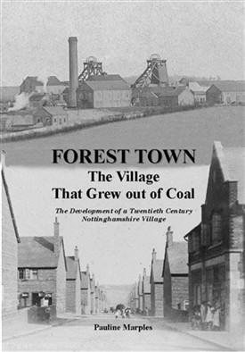 Photo: Illustrative image for the 'Forest Town The Village That Grew Out Of Coal' page