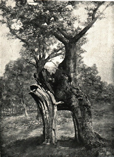 Photo:From Joseph Rodgers' 'Scenery of Sherwood Forest', 1908