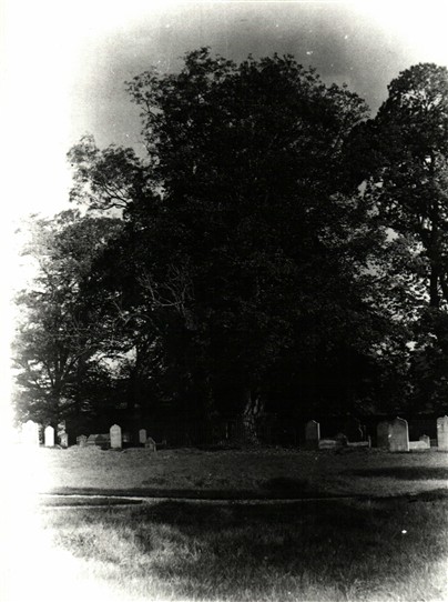 Photo: Illustrative image for the 'Mystery Graveyard in Notts' page