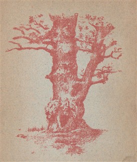 Photo:Frontispiece illustration from the above book - perhaps it shows the Millhouse Oak?