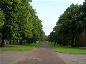 Photo:Queen's Walk The Meadows Nottingham Looking North 2009