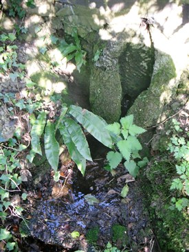 Photo:Close up of the well