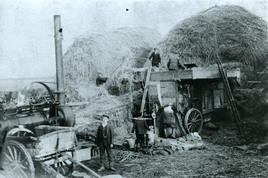 Photo:PICTURE 8 : Steam threshing machine at Saxondale, c.1890