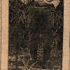 Page link: Female Farm worker in the First World War