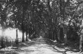 Photo:1921, Elm Tree Avenue, Woodthorpe Park
