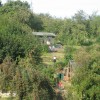 Page link: [Nottingham] St Anns Allotments Heritage and Harvest Open Day