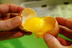 Photo:An egg yolk